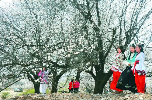 JRS低调看体育直播导航